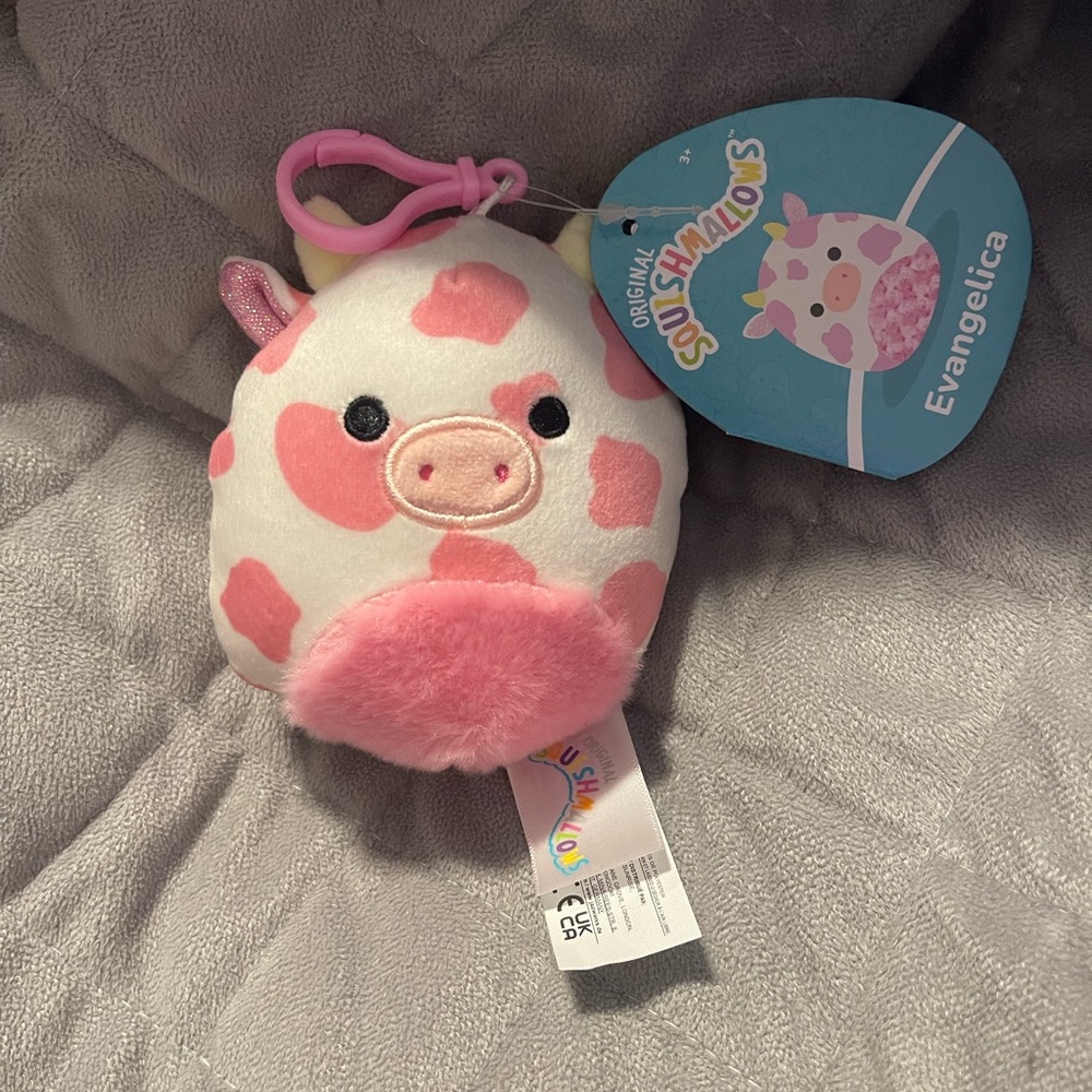 Evangelica squishmallow clip
